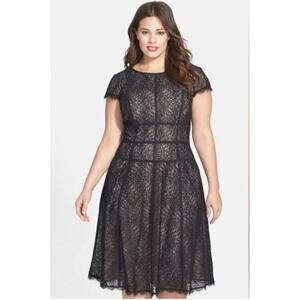 Adrianna Papell Elegant Black Lace Fit and Flare Dress 16W